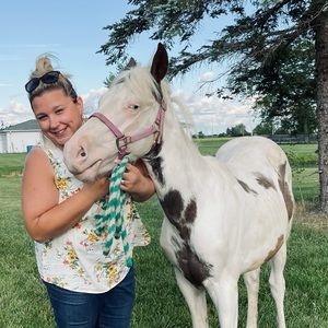 Meet your Posher, Dawn